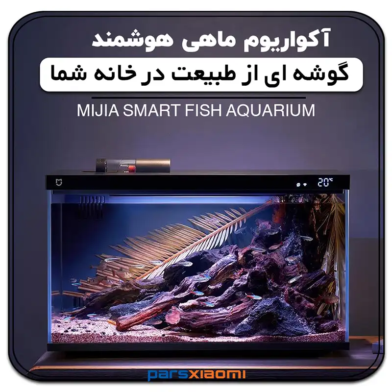 اکواریوم میجیا